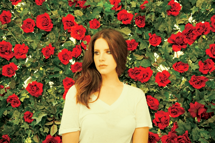 Lana Del Rey Old Money 愛已成過往 中文歌詞翻譯