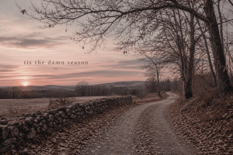 “‘Tis the Damn Season” Lyrics Meaning