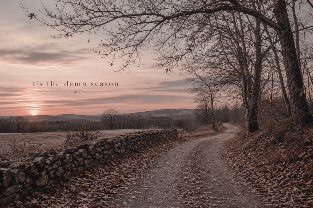 “‘Tis the Damn Season” Lyrics Meaning