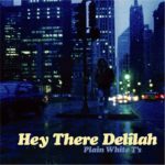 Plain_white_t's_hey_there_delilah